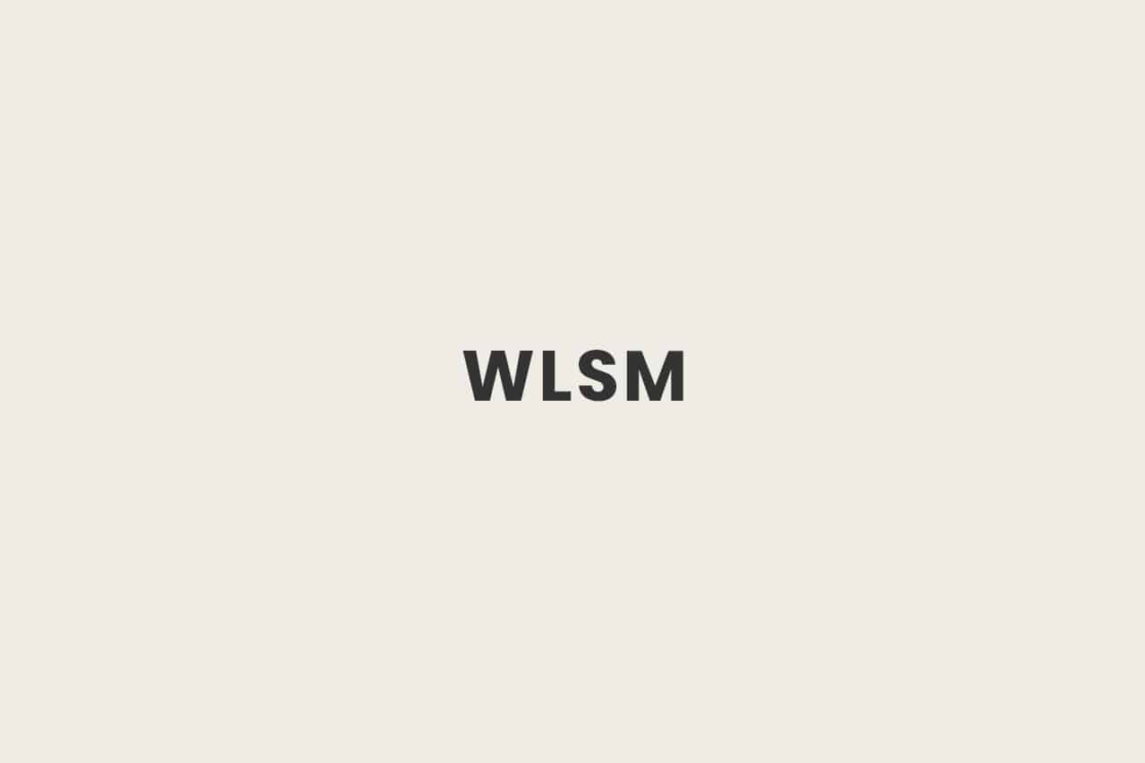 Was ist WLSM